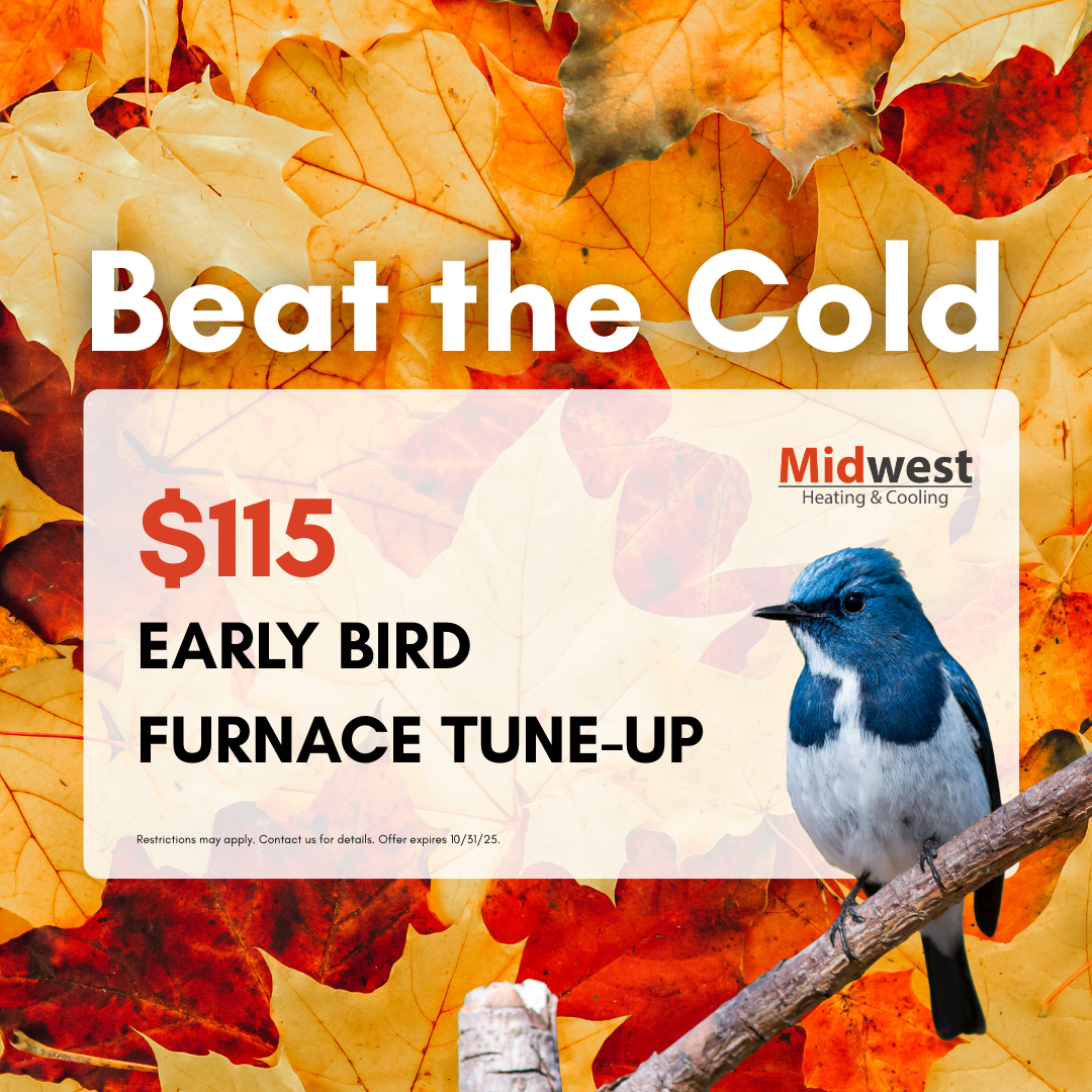 Early Bird Furnace Tune Up