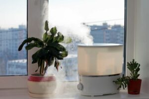 5 Ways to Improve Your Indoor Air Quality. Image is a photograph of a small humidifier and a plant on a white windowsill.