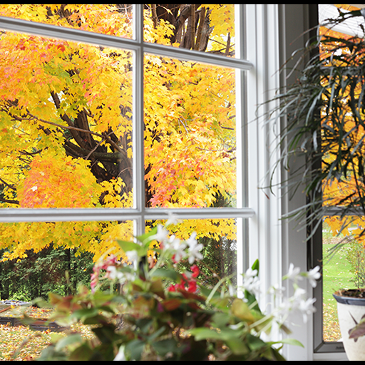 A fall window. Learn the Facts About Carbon Monoxide.